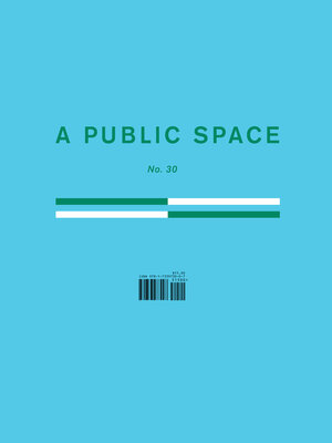 cover image of A Public Space No. 30